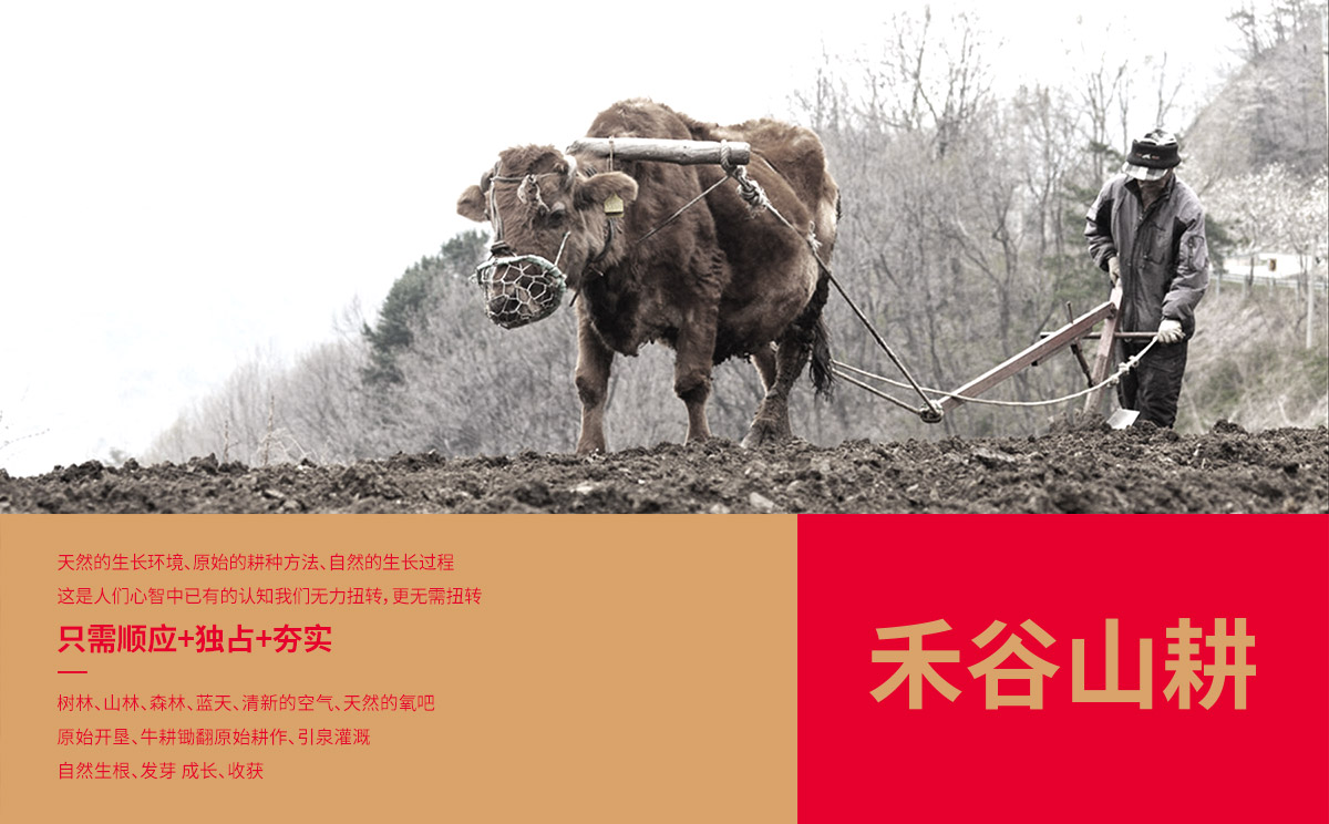 禾谷山耕1.jpg 禾谷山耕1.jpg