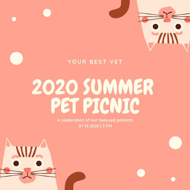 Light-Pink-Circles-Cat-Picnic-Instagram-Post-tb-800x0.jpg