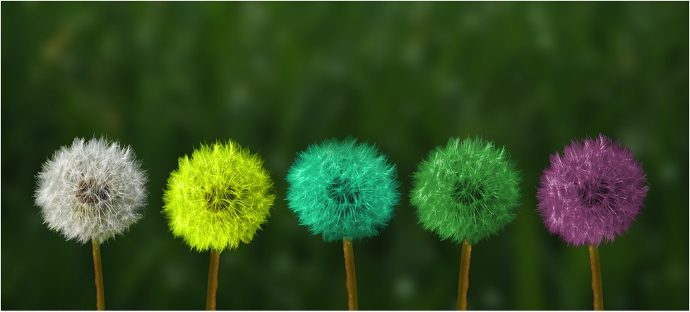 5-Key-Elements-of-Your-Brands-Visual-Identity.png 5-Key-Elements-of-Your-Brands-Visual-Identity.png