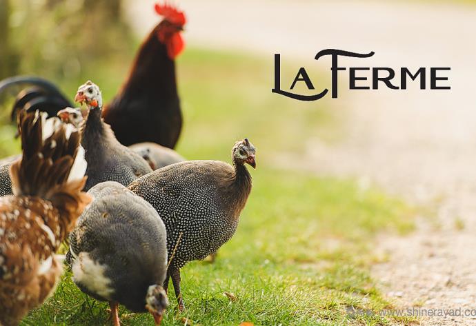 La Ferme雞肉品牌logo設(shè)計(jì).jpg