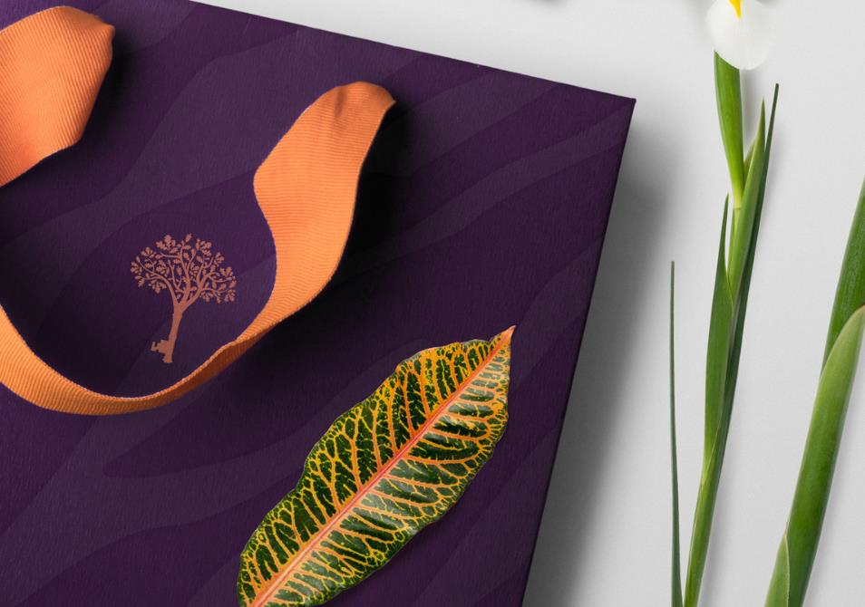 女裝品牌策劃設計.jpg 女裝品牌策劃設計.jpg