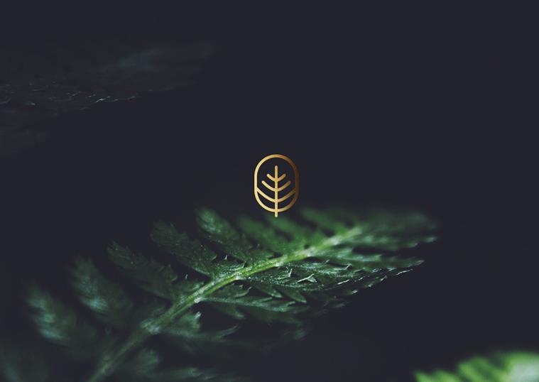 醫(yī)療行業(yè)品牌logo設(shè)計(jì).jpg 醫(yī)療行業(yè)品牌logo設(shè)計(jì).jpg