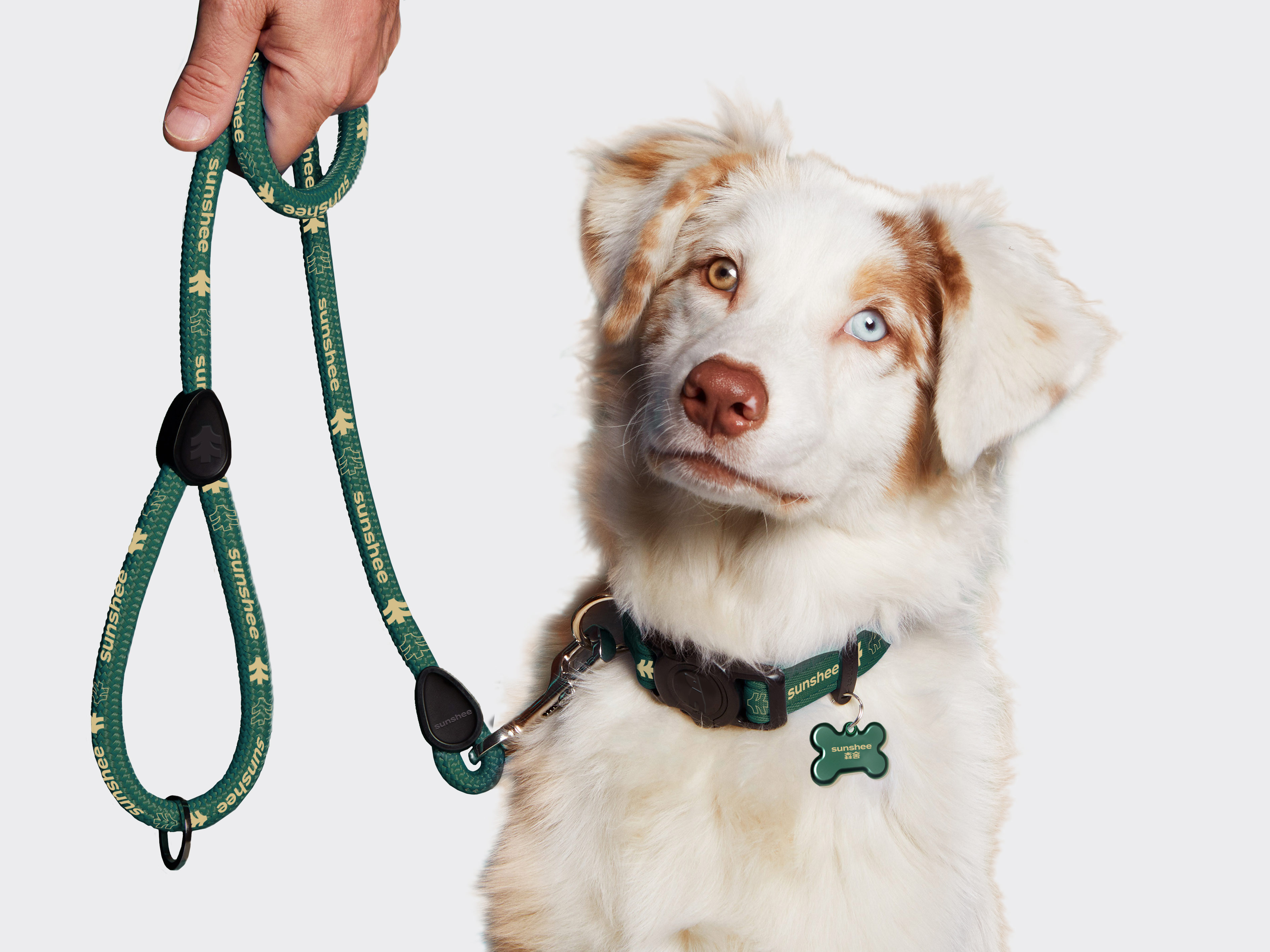 狗牌.jpg 狗牌.jpg