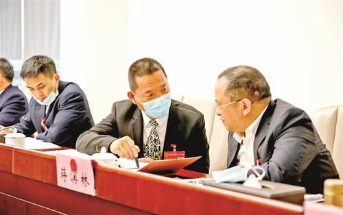 市七屆人大一次會議寶安代表團(tuán)分組審議 聚焦制造業(yè)高端轉(zhuǎn)型與科技創(chuàng)新服務(wù)，共繪經(jīng)濟(jì)社會發(fā)展新藍(lán)圖
